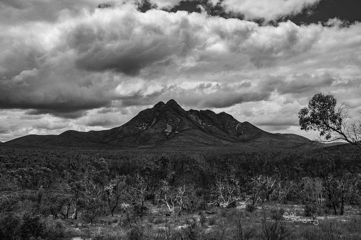 The Stirling Ranges - Memories of Fire, Mount Toolbranup