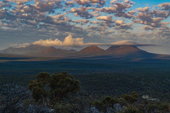 Across a vast, forested plain, a lenticular cloud hovers over Mount Toolbranup in the Stirling Range National Park