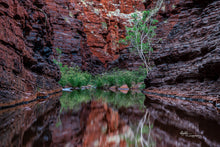 Load image into Gallery viewer, Plunge pool, Hancock Gorge, Karijini National Park
