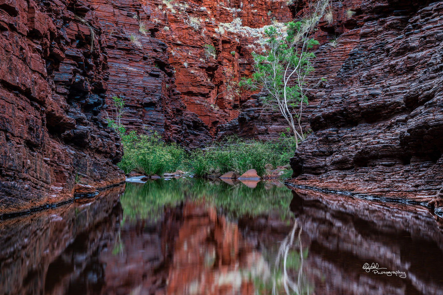 Plunge pool, Hancock Gorge, Karijini National Park